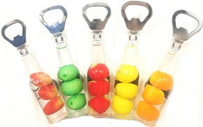 ASSORTED DESIGN BOTTLE OPENER FRIDGE MAGNETS. TB046 \\\TB046