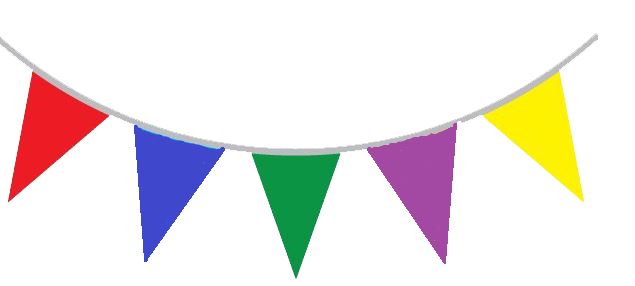 MULTICOLOUR TRIANGULAR PARTY BUNTING 10M 20FLAG. TY4420 \\\TY4420