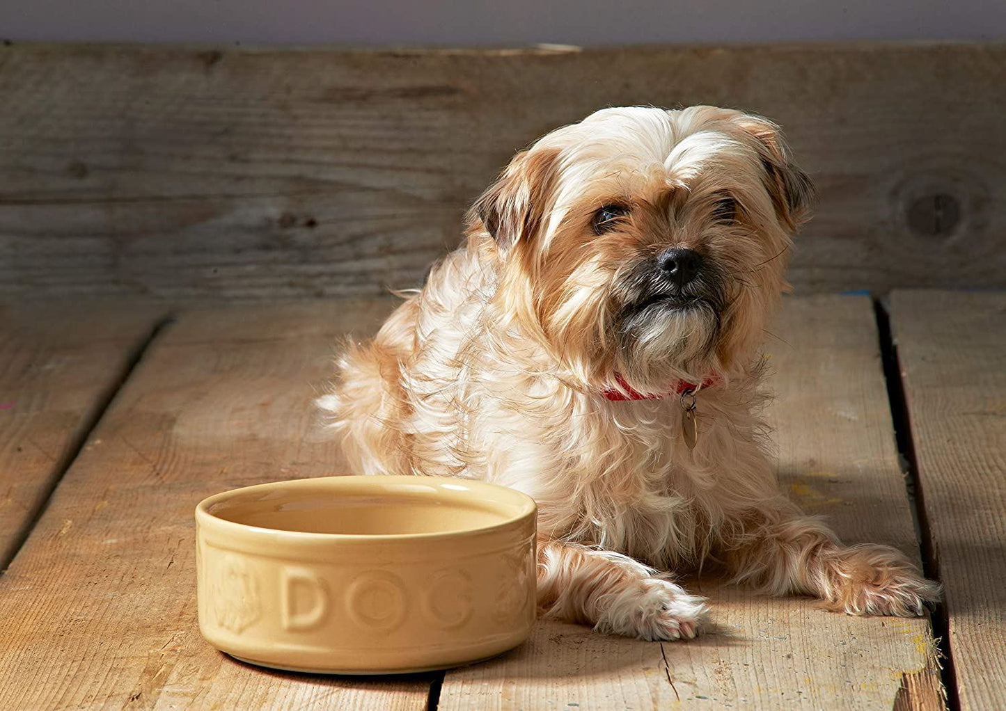 MASON CASH CANE PET BOWL 18CM / 1.2L - DOG LETTERED. 2030.307