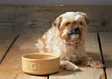 MASON CASH CANE PET BOWL 18CM / 1.2L - DOG LETTERED. 2030.307