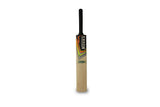 NOVAX XHAMP POPULAR WILLOW ADULT CRICKET BAT SIZE FULL. M-CHCBAD