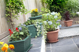 WHITEFURZE  VENETIAN PLANT POT SAUCER 27CM. G020865