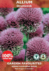 PACK OF ALLIUM DRUMSTICK SPRING FLOWERING BULBS 30 FOR THE PRICE OF 15. 8711148205845